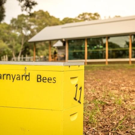 Barn Hives 亚林加普 外观 照片