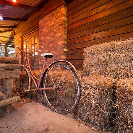 Barn Hives 亚林加普 外观 照片
