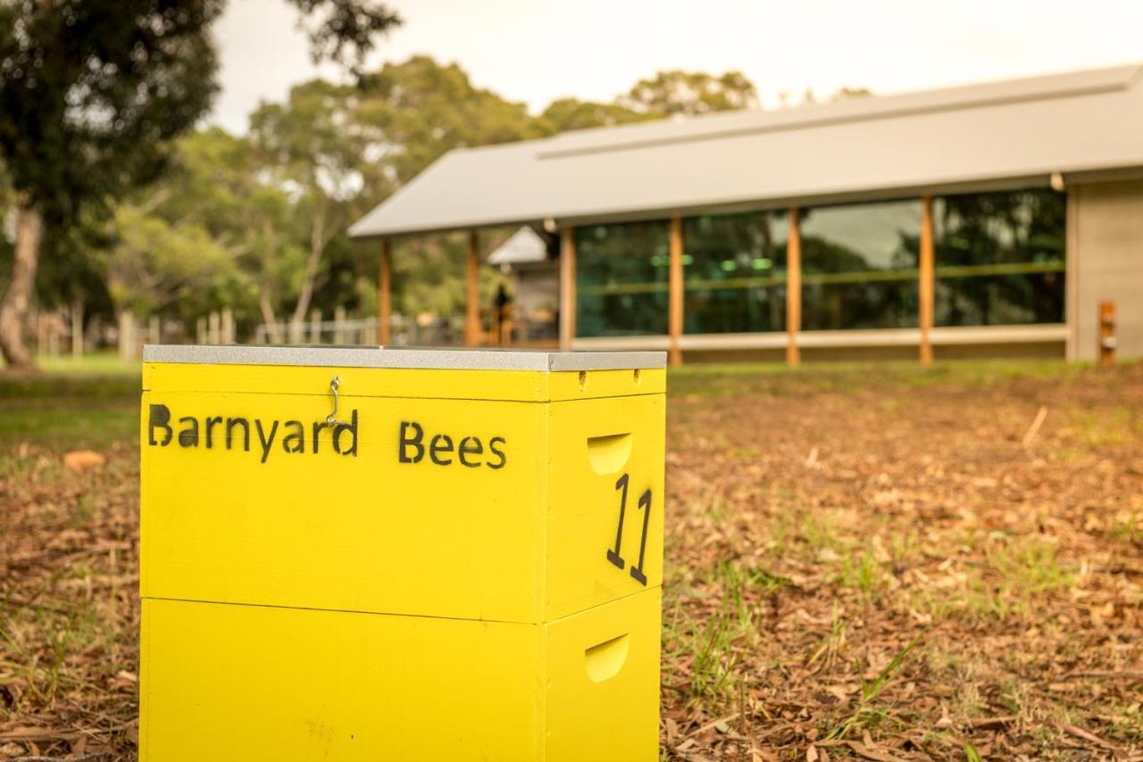Barn Hives 亚林加普 外观 照片