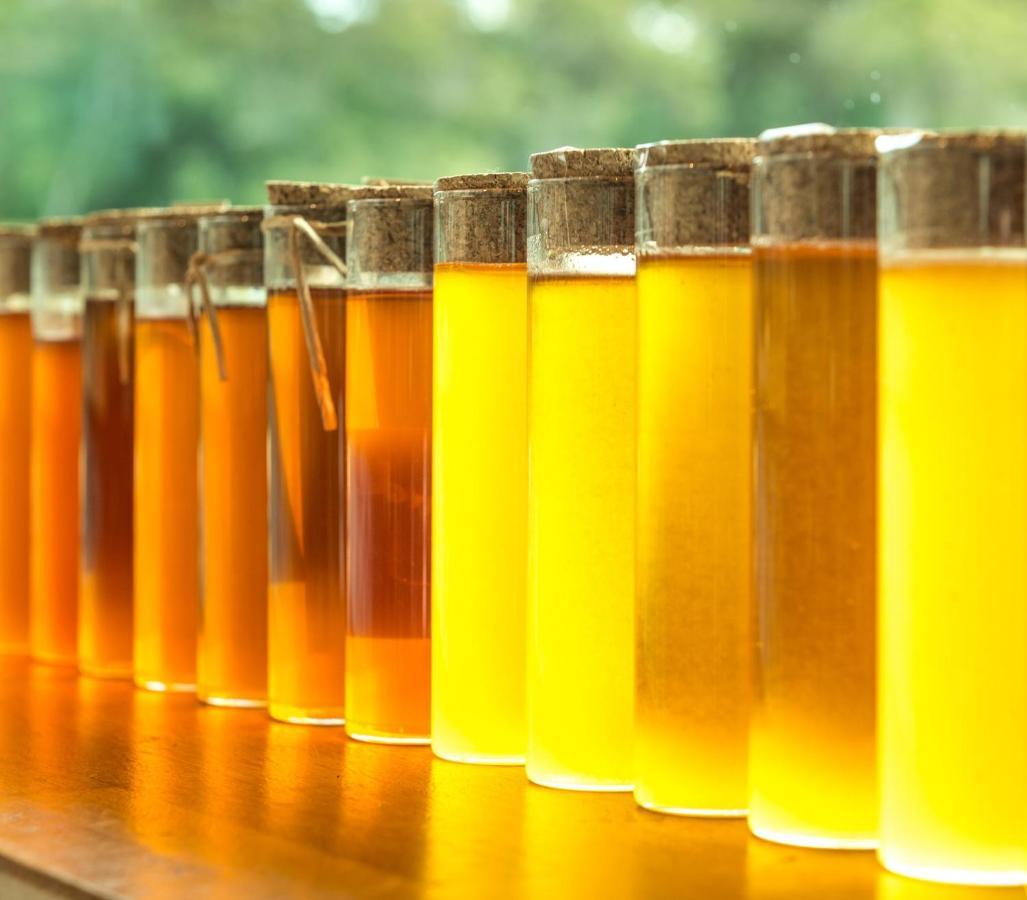 Barn Hives 亚林加普 外观 照片
